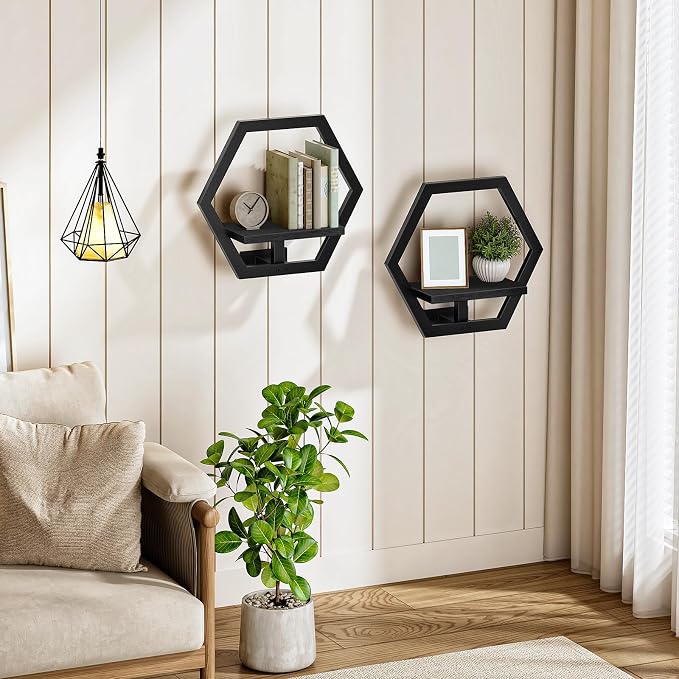 CHOEZON Wall Planters for Indoor Plants Set of 2, Wall Plant Holder, Floating Shelves for Living Room, Bedroom, Kitchen, Home Office, Black TBJ40P2BB