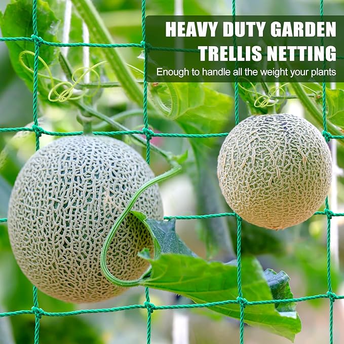 Trellis Netting, Heavy Duty Garden Netting for Trellis for Climbing Plants Outdoor, 16.5x6.6Ft Plant Netting for Cucumber, Tomato, 27 Strands & 4x4 IN Mesh, Grow Net for Vine, Fruits, Vegetables, Bean