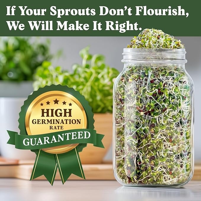 Seedboy Organic Non-GMO Broccoli Seeds for Sprouting - USA Grown Microgreens Sprouting Seeds - 8 oz Bag Makes 8 Quarts / 32 Servings (Broccoli)