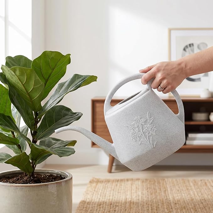 Fasmov 1-Gallon Plastic Watering Can with Comfortable Handle, Garden Watering Cans Long Spout for Indoor Outdoor Watering Plants (Gray White)