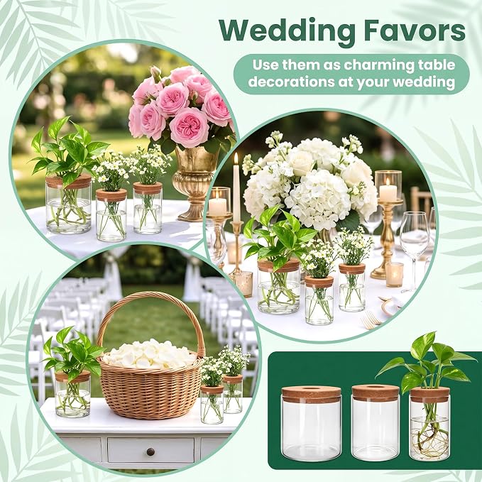 6Pcs Glass Plant Propagation Stations, Desktop Flower Vases, 3 Size Hydroponic Glass Container Vase (2 Large & 2 Medium & 2 Small) for Plant Cuttings, Desks, Houses, Living Room, Bedroom, Office Decor