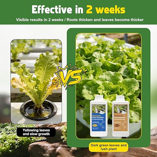 YINMIK Nutrients Base A&B Liquid Hydroponic Fertilizer,Plant Food for Hydroponics Growing System and Potted Houseplants, Hydroponic Solution for Herbs,Vegetables,Full Cycle Plants Food(2000ml Total)