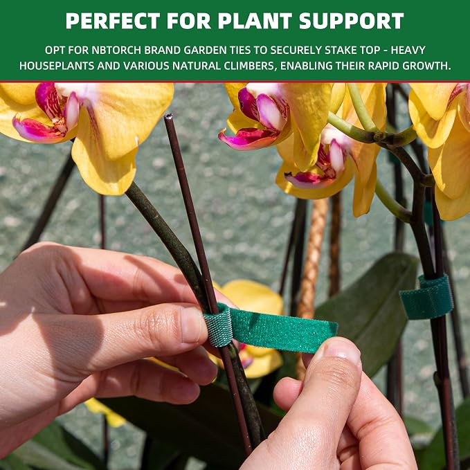 100 ft x 1/2 inch Reusable Plant Ties Roll for Indoor & Outdoor Plants, Non-Toxic Soft Garden Ties, Cut-to-Length Nylon Ties, Gentle Support for Climbing Plants, Tomato Peppers & Vines, Green