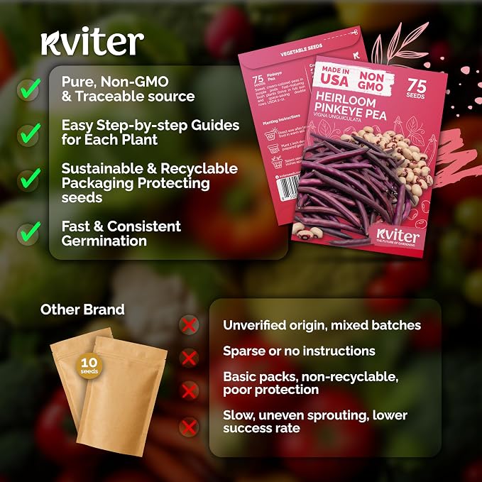 KVITER 75 Top Pick Pinkeye Cow Pea Seeds for Planting (Vigna Unguiculata) – Field Pea, Bush Purple Hull Peas, Heirloom Peas & Beans – Vegetable Seeds for Outdoor Garden, Beds, Containers