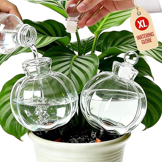 18 Oz Large Plant Watering Globes Large Self Watering Globes, Water Globes Bulbs for Indoor Outdoor Plants, Plant Water Bulbs Feeders for Watering Plants During Vacation Away Time 2-Pack