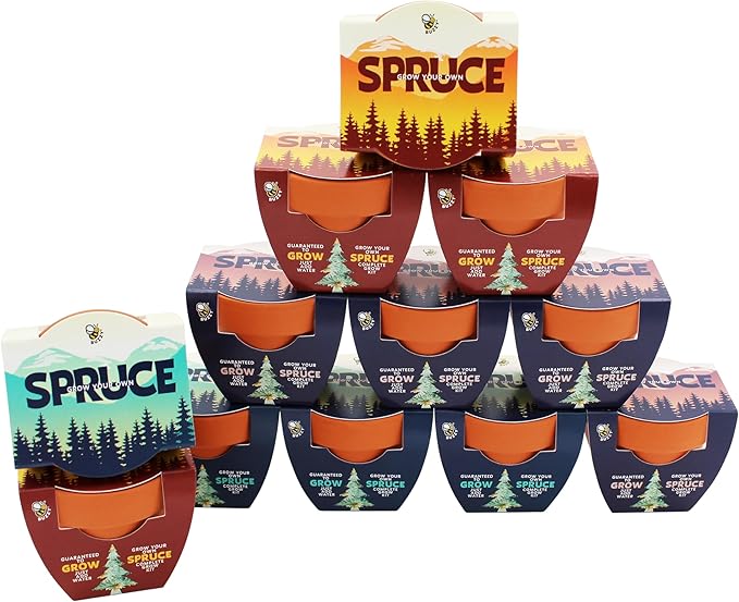 BUZZY Seeds Spruce Tree Grow Kit 12-Pack - Mini Terracotta Pot Grow Set - Complete Indoor/Outdoor Gardening Kit with Seeds, Coconut Husk Growing Medium & Genuine Pots - 100% Grow Guarantee