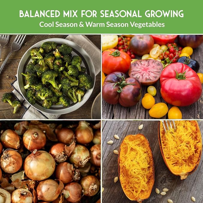 12 Vegetable Seed Variety Pack for Planting - Heirloom Broccoli, Carrot, Basil, Lettuce, Onion, Pepper, Swiss Chard, Tomato, Cucumber, Spinach, Zucchini, Spaghetti Squash - Survival Garden Seeds
