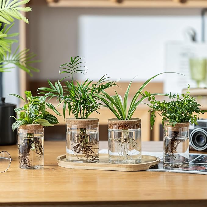 Plant Propagation Stations for Plants, 2 Size Glass Propagation Vases for Propagating Hydroponic Indoor Home Office Decor, Tabletop Glass Planter Gift for Plant Lovers (8)
