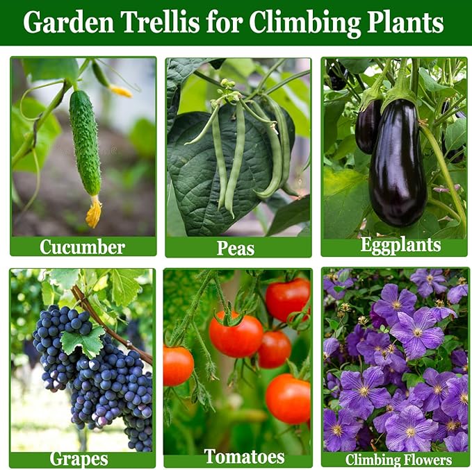 Cucumber Trellis for Raised Bed, U-Shape Garden Trellis for Climbing Plants Outdoor, Metal Arch Plant Support, Vegetables Trellis for Squash Grape Pea Bean Vines Flower (WxH=15.7x47inch)