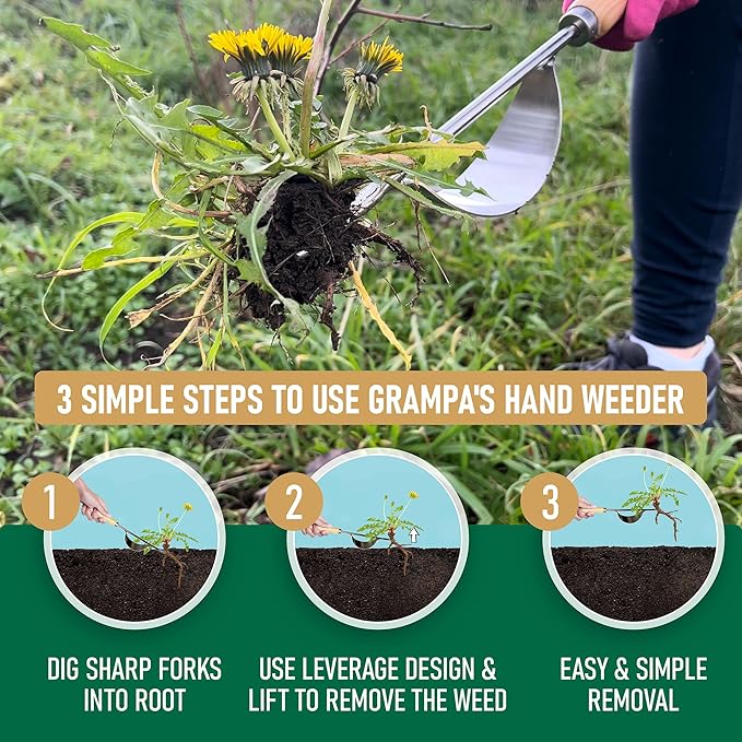 Grampa's Hand Weeder Tool - The Perfect Lightweight Easy to Use Weed Puller Tool for Garden - Durable Unique Lever Design with V-Shaped Forks Allows for Easy Removal of Weeds & Their Roots