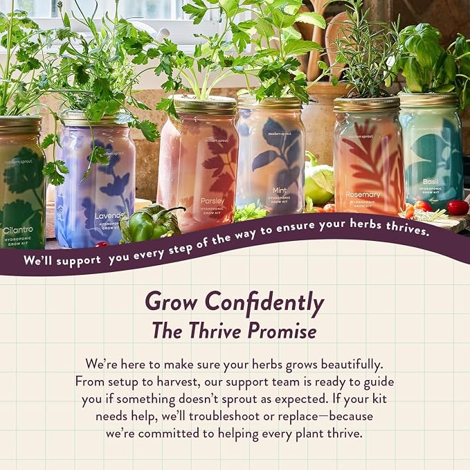Modern Sprout Mason Garden Jar - Self-Watering Hydroponics Growing System Kit with Organic Herb Seeds - Jar Planter for Indoor Herb Garden - Seed Starter Kit - Gift for Mother's Day - Parsley
