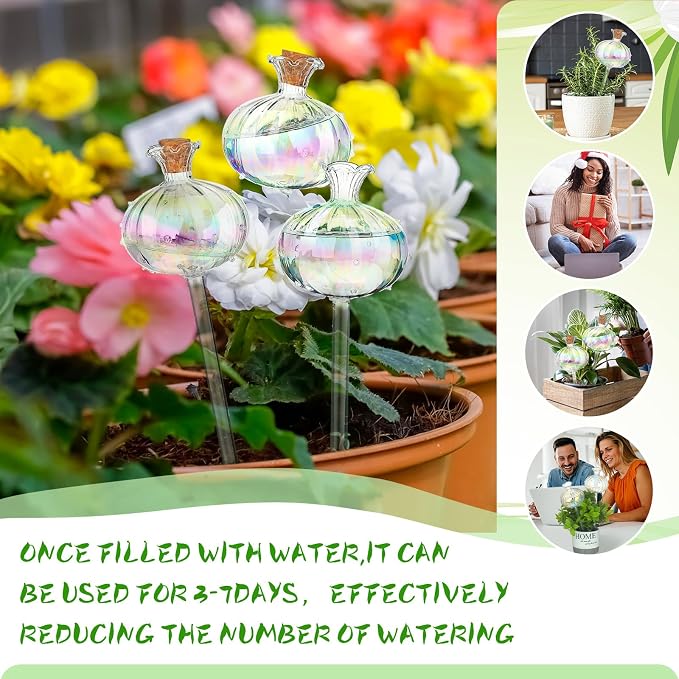Yungyan 6 Pcs Glass Plant Watering Globes Self Watering Planter Insert Glass Water Bulbs for Indoor Plants Automatic Plant Water Devices for Indoor Outdoor Plants(Rainbow Color,9.84 Inch)