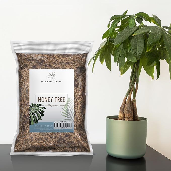 Money Tree Soil (4 Quarts), Potting Mix for Planting/Repotting Pachira Aquatica, All-Natural Custom Soil Blend