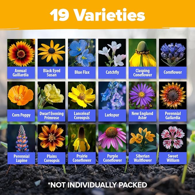 HOME GROWN Midwest Wildflower Seeds Bulk Mix | 32,500+ Open Pollinated Perennial & Annual Flower Seed for Planting | 15 Varieties for Attracting Bees & Butterflies | 2 oz