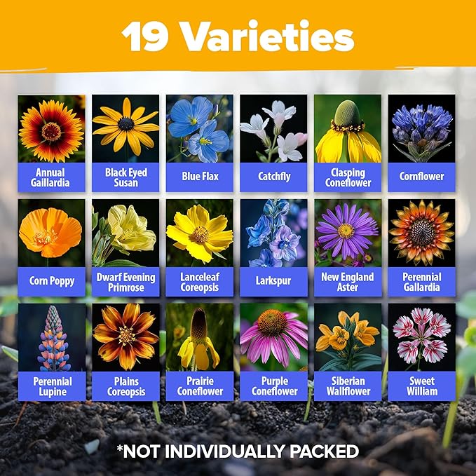 HOME GROWN Midwest Wildflower Seeds Mix | 65,000+ Heirloom Perennial Flower Seed for Attracting Bees, Birds & Butterflies | High Germination Bulk Planting | 4 oz