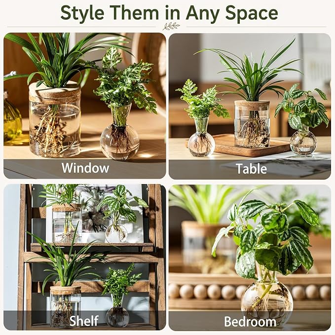 Plant Propagation Stations, 2 Style Glass Planter Terrariums, Propagation Vases for Plant, Plant Propagation Jars for Hydroponic Planter Home Office Tabletop Decoration (12)