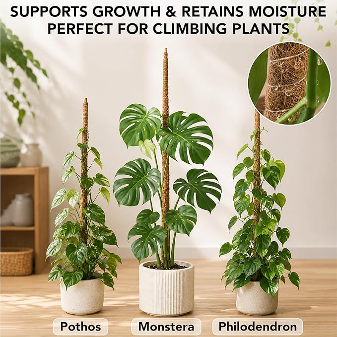 UNCO- Bendable Moss Pole Monstera Plant Support, 63 Inch, 2 Pack, 10 Feet Plant Ties, Moss Poles for Climbing Plants and Monstera Trellis