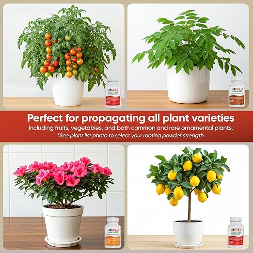 Hormex Rooting Powder Combo #3, 8, 16 (0.30-1.6 IBA) for Common Home Garden Plants to Difficult Hardwood - Root Powder, Root Stimulator for Plants, Rooting Hormone for Cuttings, Cloning & Propagation