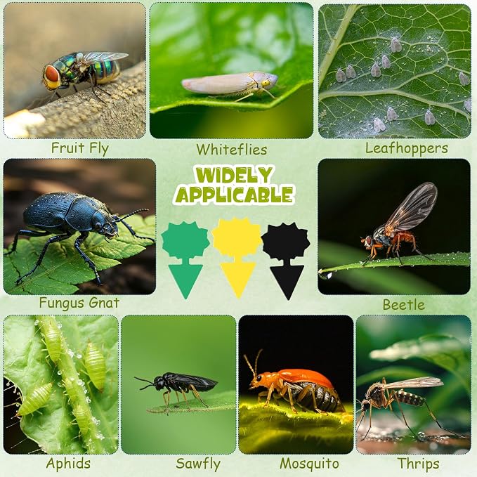 60 Pack Fruit Fly Traps Fungus Gnat Sticky Traps Yellow Black Green Plant Fly Stickers Double Side with Shovel for Indoor Outdoor Kitchen Garden Houseplant Flying Bug Insect (Flower)