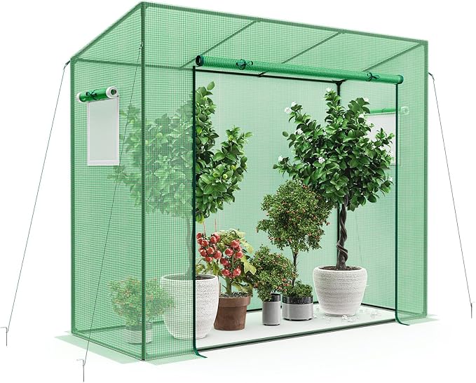 Giantex Walk-in Greenhouse, 4 Ground Stakes & Ropes, Outdoor Portable Mini Greenhouse w/ PE Cover, Heavy-Duty Metal Frame, Roll-up Zipper Door, Double-Layer Screen Windows, 6.6 x 2.5 x 5.6 FT