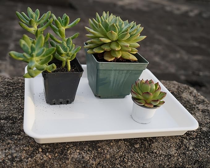 VUWEZ 4 Pack Plant Saucer Tray Rectangular, Plant Saucers for Indoors, Heavy Sturdy Plastic Plant Drainage Trays, Plant Drip Trays for Pots, Seed Starter Growing Tray (11 x 9, Creamy White)