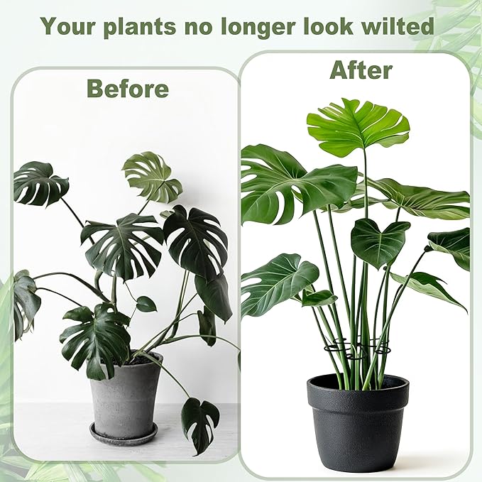 4PCS Metal Plant Stakes for Indoor Plants, 4.3 * 4.1 in Stackable Monstera Stem Support Hook for Growth, Stabilizer for Leaves & Adjustable Clamp Set Accessories for Climbing Plants (Ring)