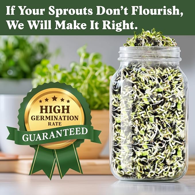 Seedboy Organic Sunflower Seeds for Sprouting - Non-GMO, USA Grown Microgreens Sprouting Seeds Mix - Makes 5 Quarts of Sprouts, 20 Servings (8 oz) (Black Oil Sunflower)