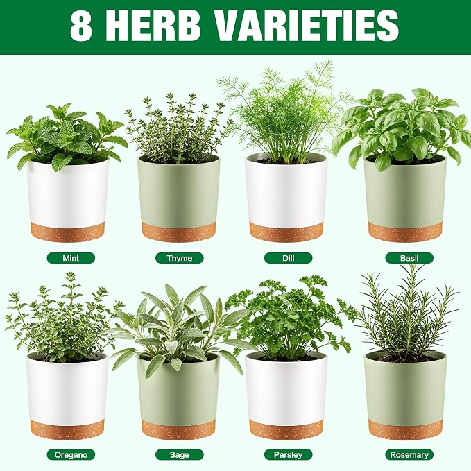 8 Herb Garden Kit - Indoor Herbs Seeds Growing Kit Gardening Gift Birthday Housewarming Christmas Gift for Women Her Men Retirement, Complete Starter Set with Organic Seeds for Beginner