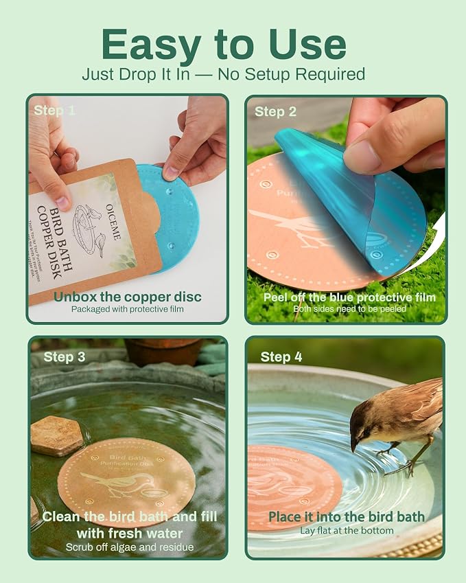 Bird Bath Purification Disk Pure Copper Outside Winter Solar Power Birdbath Hanging Bowl Pedestal Humming Feeder Fountain Cleaner Outside Dispenser Heater Garden Small Large Accessories 4pcs