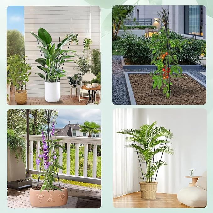Garden Trellis for Climbing Plants, 2Pack-Plant Trellis, 2 in 1 Rustproof Metal Pipe with Plastic Coated, 4Ft Plant Support for Potted Plant Outdoor Indoor, Tomato Cages & Supports for Vines