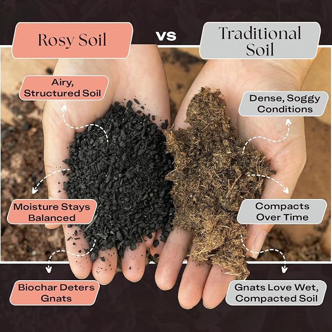 Rosy Soil Cactus Soil – Organic Succulent Potting Mix, Chunky Fast Draining, Peat-Free, Root Boosting Mix for AloeVera, Cacti, Indoor Succulents - 4qt, Pack of 2