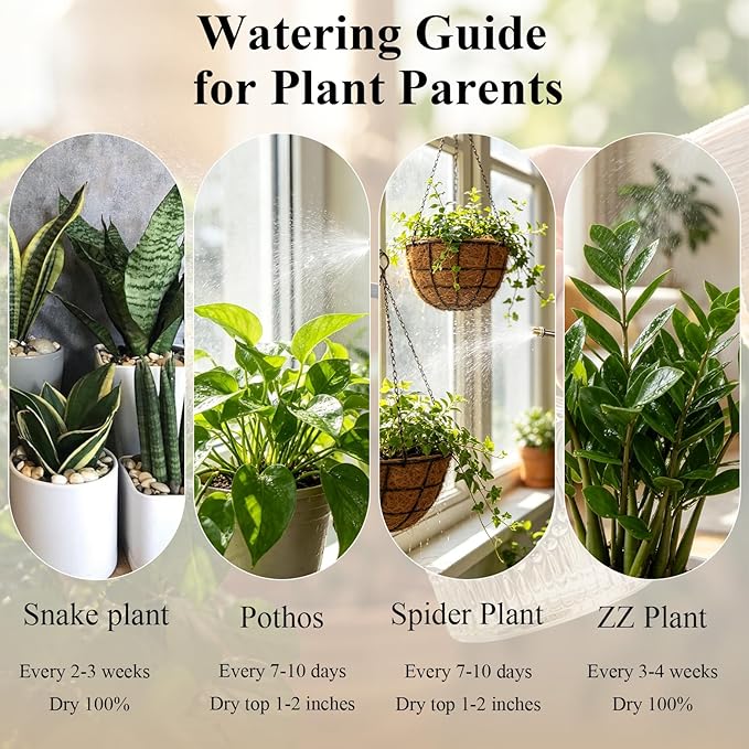 Amolliar Glass Plant Mister Spray Bottle, Vintage Refillable Leak Proof Watering Can for Indoor Plants, Houseplants, Gardening, Cleaning, Hair & Pet Care with Mist Nozzle (Clear-Black Pump)
