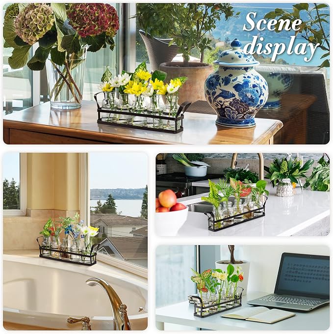 Propagation Stations Indoor Decor Planters Terrarium with Stand,Propogation Planter Glass with 5 Air Plant Terrarium for House Plants Hydroponic Home Garden Office Decoration