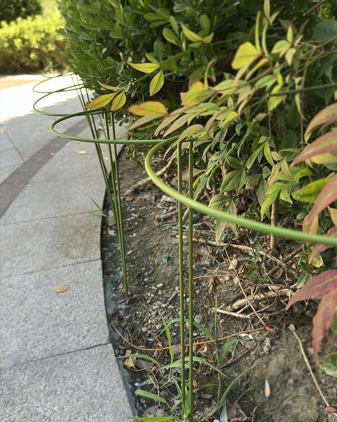 6-Pack Plant Support Stakes, Steel Stakes for Indoor Plants, Monstera & Peony Support, Tall Plant Sticks for Snake Plant, Climbing Vines, Metal Garden Stakes (10" W x 15.8" H)