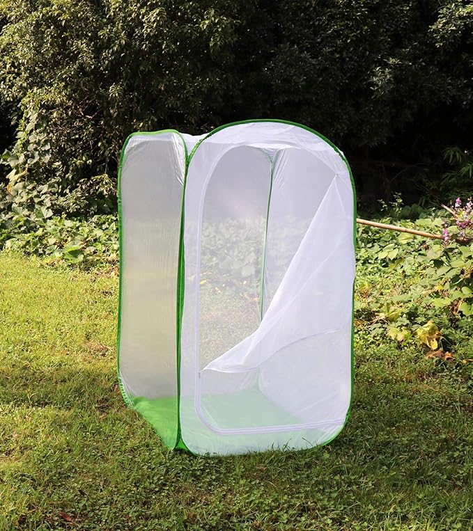 5 Feet Extra Large Monarch Butterfly Habitat, Giant Collapsible Insect Mesh Cage Terrarium Pop-up (White + Green, 35 x 35 x 59 Inches)