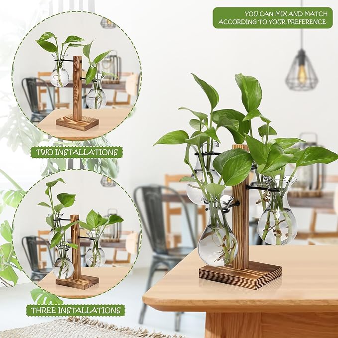 Plants Propagation Stations Bulb Glass Propagation Birthday Gift for Women Garden Plant Lovers - 4 Bulb