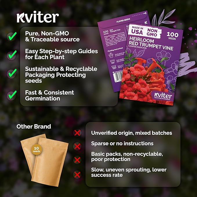 KVITER 100 Red Trumpet Vine Seeds for Planting (Campsis Radicans) – Trumpet Creeper & Heirloom Hummingbird Vine – Perennial Flower Seeds to Plant Outside – Fences, Trellises & Outdoor Garden