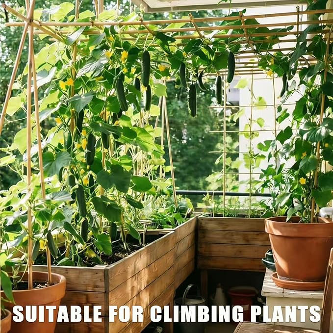 Plant Bamboo Post,8Feet,40Pack,Bamboo Garden Stakes,Bamboo Stakes,for Tomato,Beans,Vegetable and Flowers, Potted Plants,Indoor and Outdoor Climbing Plants (8Ft,40Pack)