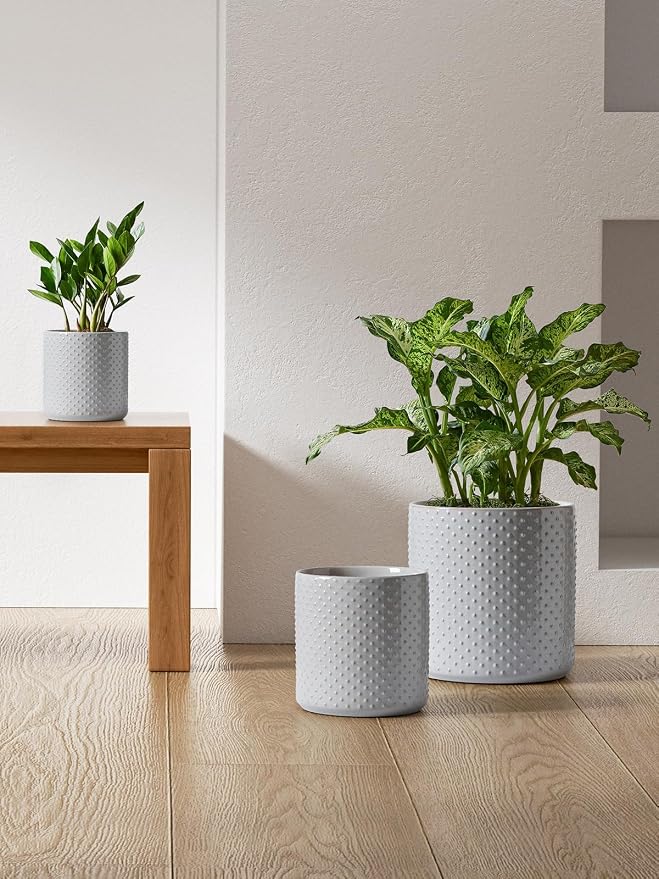 LE TAUCI 10+8+6 Inch Ceramic Pots for Plants, Indoor Planters with Drainage Hole and Plug, Raised Dots Cylinder Flower Pots Set of 3 for Office and Living Room, Glossy, Star Gray