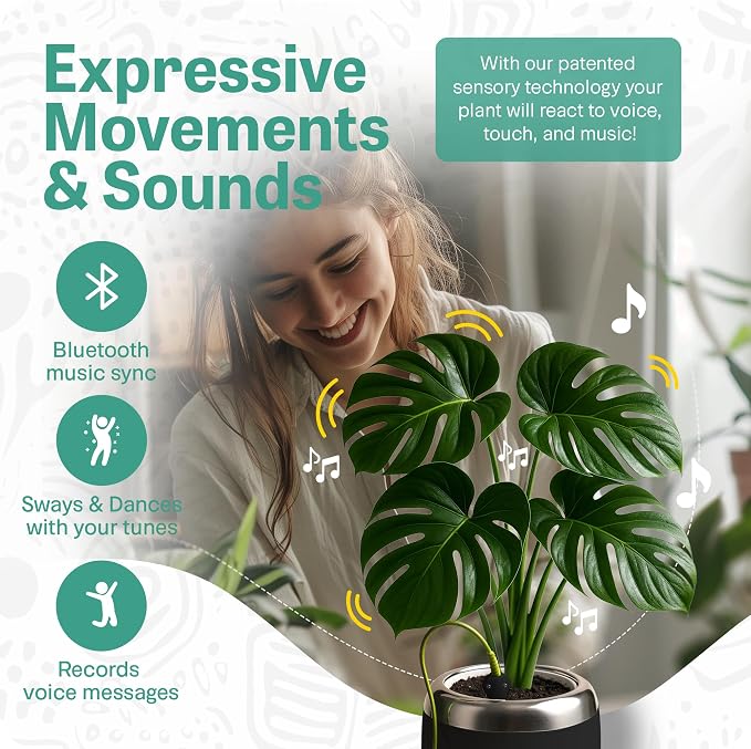 Smart Robotic Planter for 4” Potted Plants- Charcoal Black | Interactive Moving & Dancing Flowerpot with Bluetooth Speaker | Touch Responsive for Real Indoor Plants | Custom Voice Record