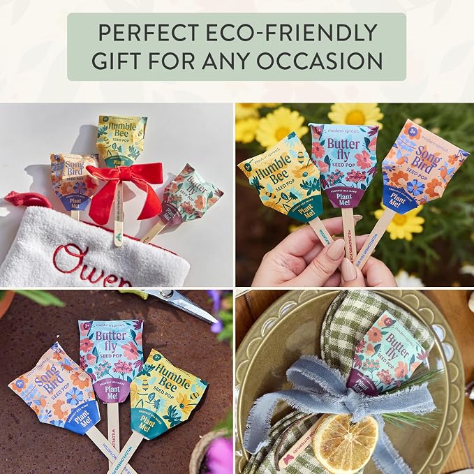 Modern Sprout Seed Pops - Organic Non-GMO Humble Bee Butterfly & Song Bird Wildflower Seeds - Ideal for Indoor & Outdoor - Spring Activity for Kids - Gift for Kids Adults & Plant Lovers (Pack of 12)