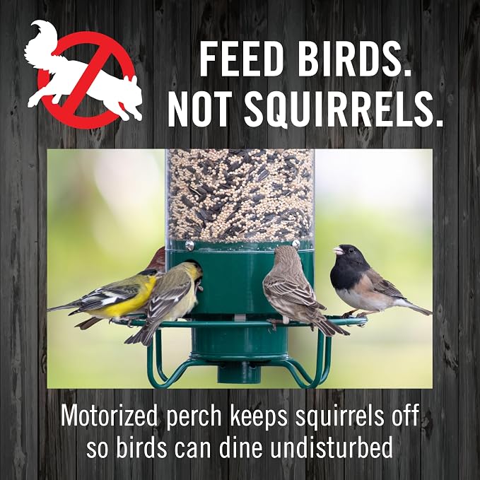 Droll Yankees Squirrel Proof Bird Feeder for Outdoors – Rechargeable Weight-Activated Rotating Perch, 5lb Seed Capacity, Metal Base, UV-Stabilized Seed Tube, Hanging Green Yankee Flipper, YF-M
