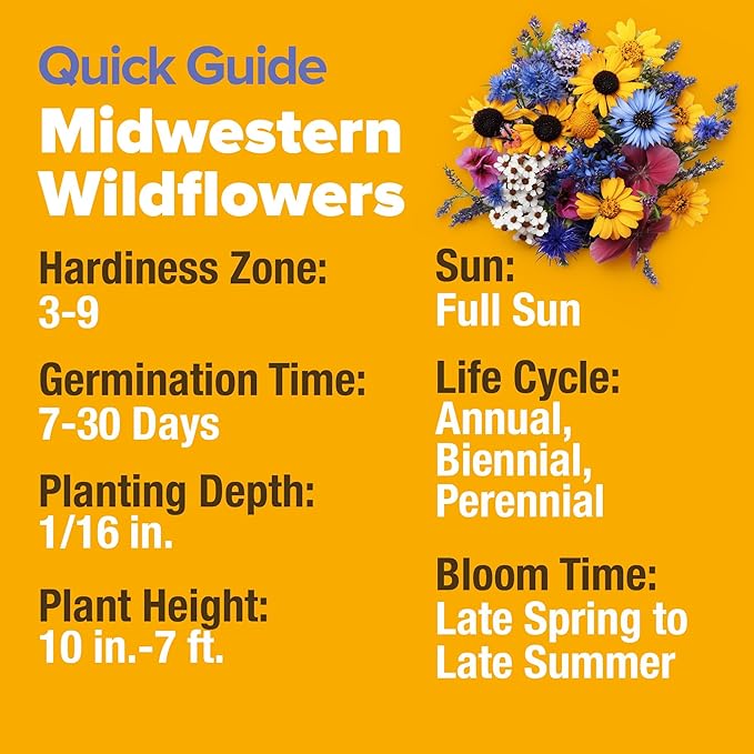 HOME GROWN Midwest Wildflower Seeds Bulk Mix | 32,500+ Open Pollinated Perennial & Annual Flower Seed for Planting | 15 Varieties for Attracting Bees & Butterflies | 2 oz