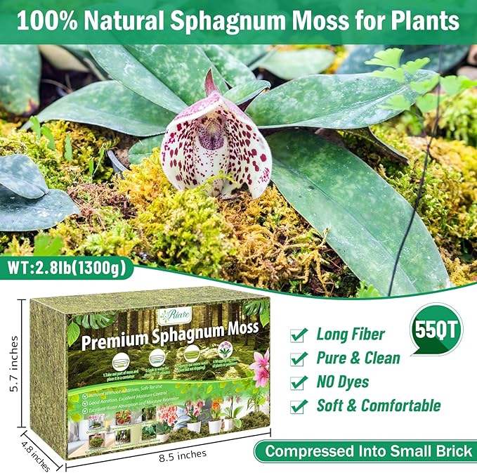 Riare 2.8LBS Premium Sphagnum Moss for Plants- 55QT Natural Dried Plant Moss for Potted Plants, Orchid Moss for Repotting, Soft Green Decorative Moss for Succulents, Reptiles & DIY Crafts