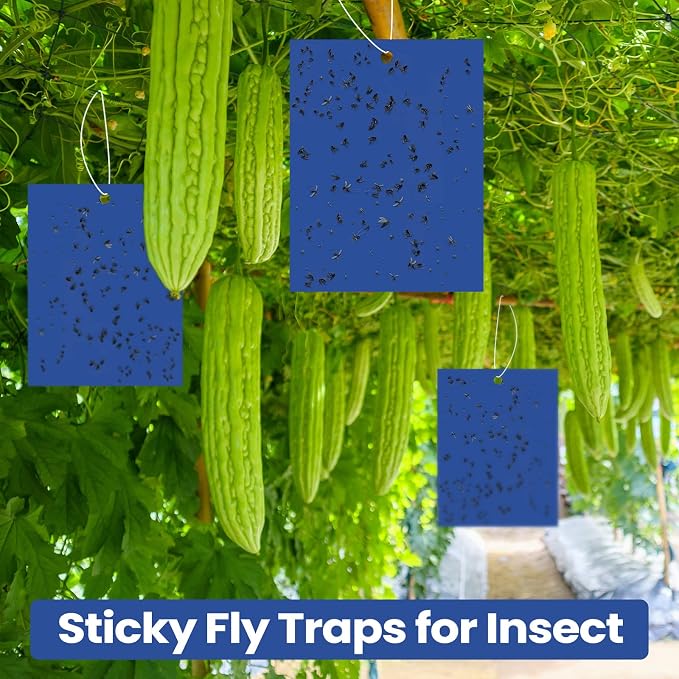Qualirey 150 Pcs 6x8 Inch Blue Sticky Traps for Thrips Double Sided Sticky Trap for Gnats Plant,Pest Control for Fungus Gnats, Thrips, Whiteflies – Bulk Pack with Twist Ties