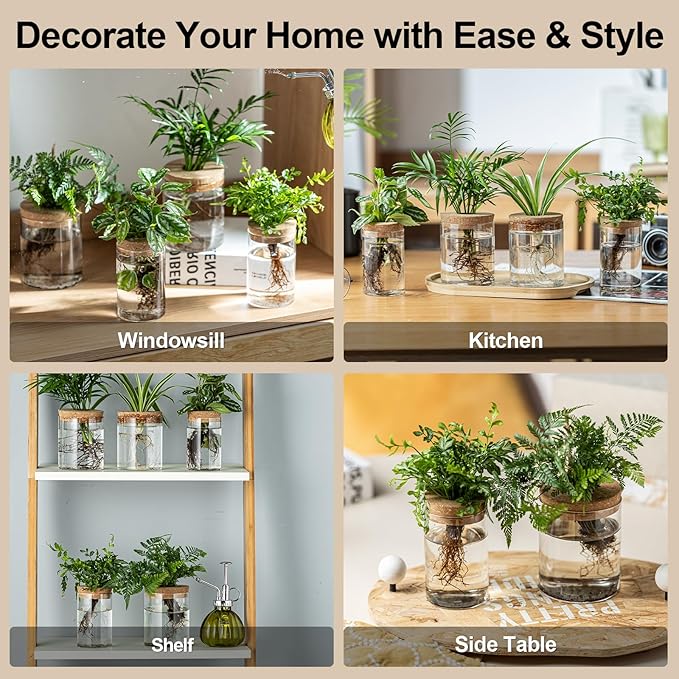 Plant Propagation Stations for Plants, 2 Size Glass Propagation Vases for Propagating Hydroponic Indoor Home Office Decor, Tabletop Glass Planter Gift for Plant Lovers (8)