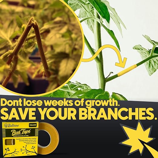 BudTape (90 ft) | Branch Repair Grafting Tape & Gardening Tape | Fix 300+ Broken Stems, Reinforce Weak Branches | Self-Adhering, Flexible, Water-Resistant