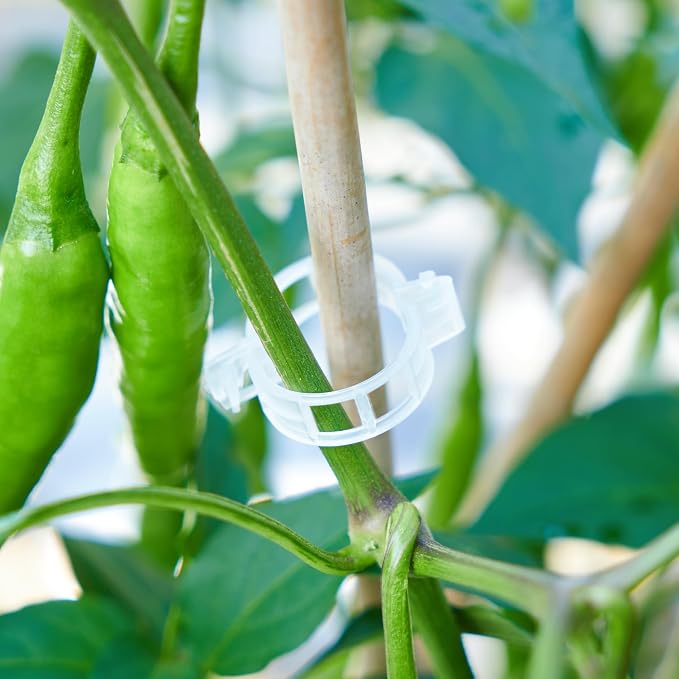 200Pcs Garden Vine Plant Support Clips,Plastic Fixing Clips for Securing and Training Climbing Plants,Tomatoes,Grapes,Vine Vegetables and Potted Plant (200, White)