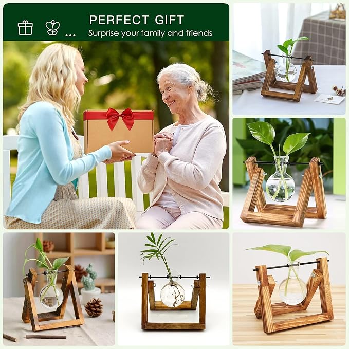Kingbuy Plant Propagation Station Bulb Vase, 1 Bulb Vase | Air Plant Terrarium, Wooden Swivel Holder, Desktop Glass Planter, For Indoor Water Plants