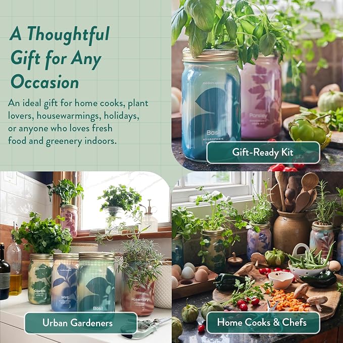 Modern Sprout Garden Jar Gift Pack - Self-Watering Hydroponics Growing System Kit with Organic Herb Seeds - Seed Starter Kit for Indoor Herb Garden - Home Decor & Gifting - Basil, Parsley & Mint
